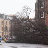 Workers remove a fallen tree on Regent Road, Edinburgh, as power cuts strike across Scotland