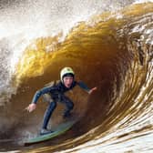 A surfer catches a wave at the Lost Shore Surf Resort (Picture: Jeff J Mitchell)