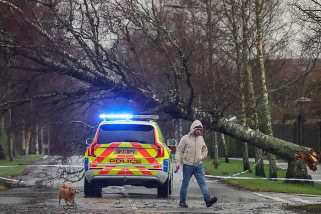 A man walks a dog past a police car in front of a fallen tree in Helensburgh.  Picutre: by Jeff J Mitchell/Getty Images