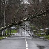 Thousands still without power in Scotland as storm Eowyn clean-up continues