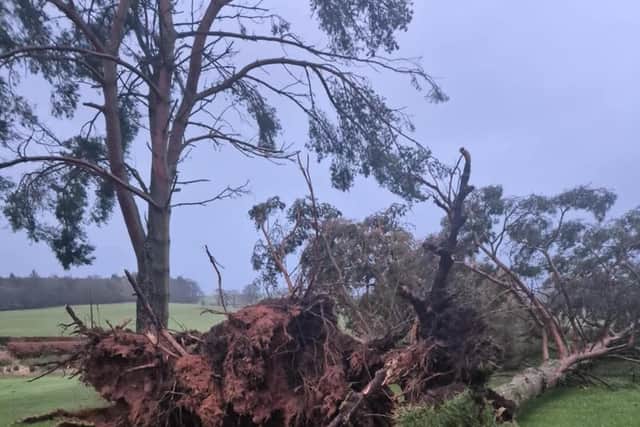 Damage caused by Storm Eowyn at Thornhill in Dumfries & Gallway was posted on the club’s Facebook page