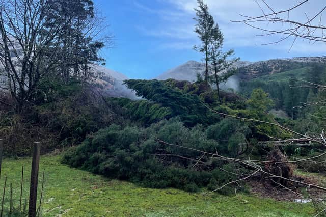 The RBGE said mature trees at its Benmore garden had been “stacked like cards”