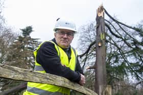 RBGE regius keeper Simon Milne with the damaged cedar.