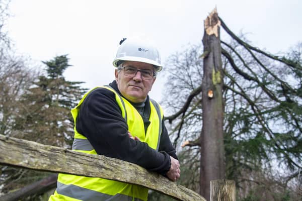 RBGE regius keeper Simon Milne with the damaged cedar.