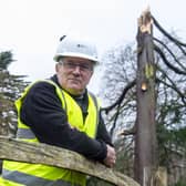 RBGE regius keeper Simon Milne with the damaged cedar.