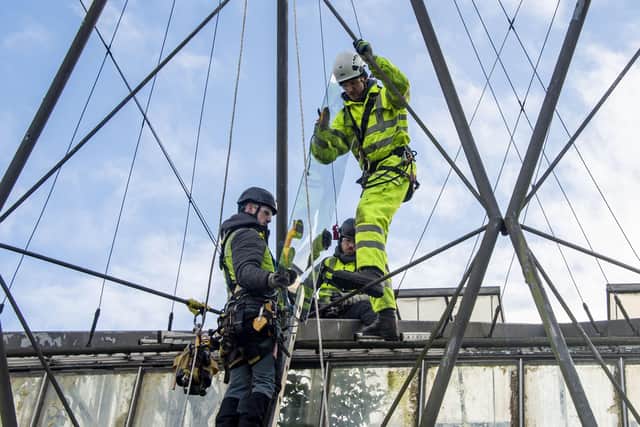 Contractors work to try to repair damaged panes in the glasshouses.