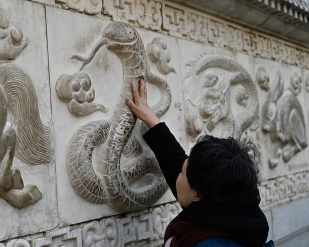2025 marks the Year of the Snake according to the Chinese Zodiac calendar. 
