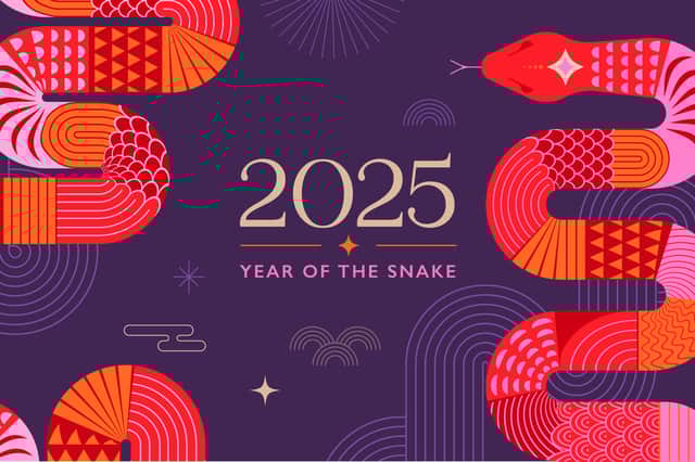 The Year of the Snake.