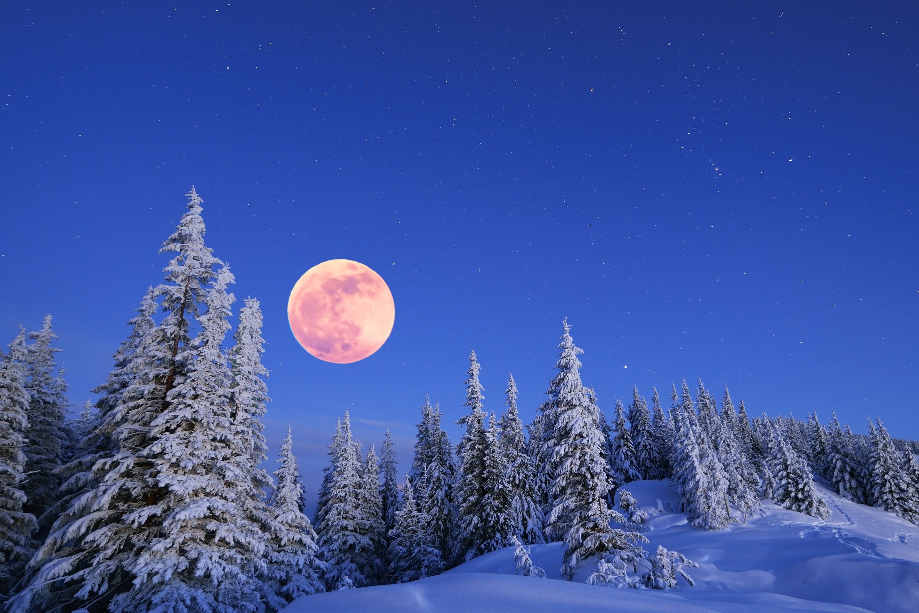 When is the February Full Moon 2025? How to see the Snow Moon and how