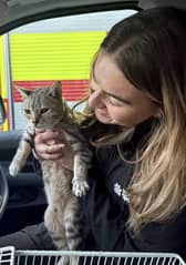 Cleo the cat needed food and water after being trapped underneath a block of flats for days