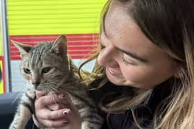 Cleo the cat needed food and water after being trapped underneath a block of flats for days
