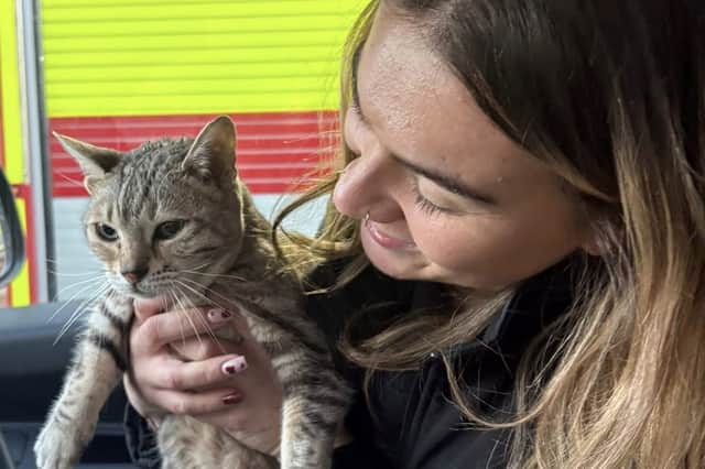 Cleo the cat needed food and water after being trapped underneath a block of flats for days
