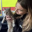 Cleo the cat needed food and water after being trapped underneath a block of flats for days