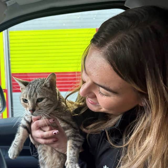 Animal rescue officer Stephanie Smillie and Cleo the cat