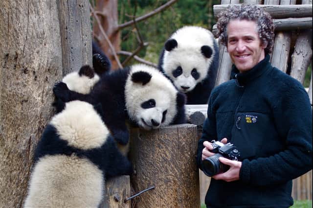 Scottish filmmaker and cameraman Gordon Buchanan up close with pandas.