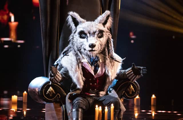Fans of The Masked Singer are split on who could be behind the mask.