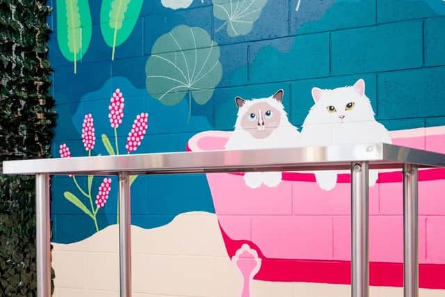 The mural by Alice NicBhatair in the salon