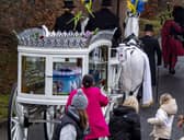 The horse and carriage carrying Hope Gordon's body as she was laid to rest. Picture: Lisa Ferguson