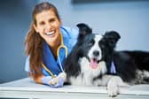 Some dog breeds - like the Border Collie - are less likely to need regular vet visits than others.