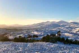 The site of the planned windfarm from German firm EnergyKontor at Strathfarrer in the Highlands. PIC: Peter Dunn.