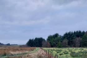 The dog was found near Harthill.