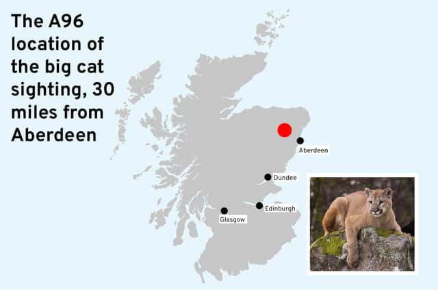 The location of the sighting