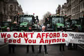 Farmers protested in Whitehall on Monday against changes to inheritance tax rules for farmers (Picture: Henry Nicholls)