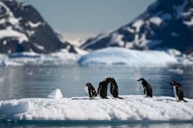 Antarctica may seem like a pristine wilderness but plastic pollution can be found in many places (Picture: Juan Barreto)