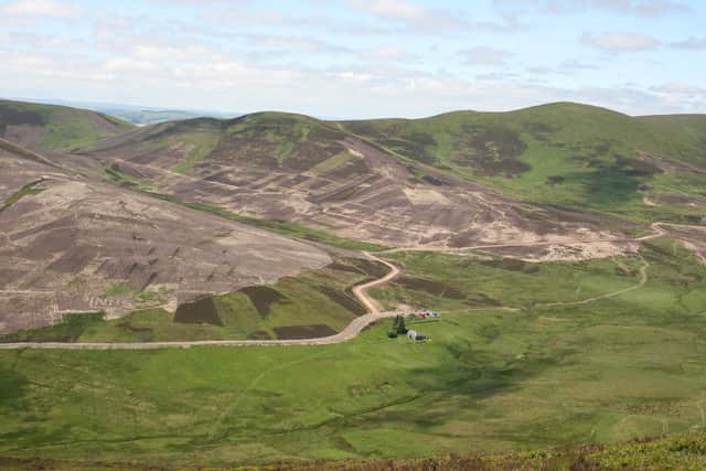 Scottish Forestry halted forestry work at the Stobo Hope woodland creation scheme in the Scottish Borders in September 2024. The decision came after new information about herbicide spraying at the site.
