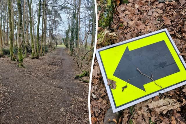 Participants in Acorn Trails' race through the Castlemilk Woodlands were purposefully misdirected off the set route