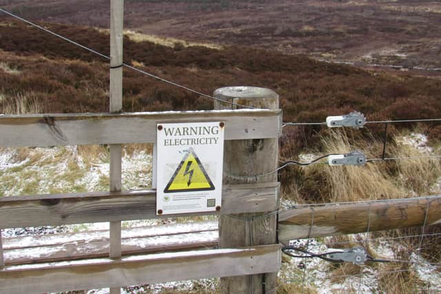 A John Muir Trust fence at the bottom of the hill on East Schiehallion, around a small woodland area