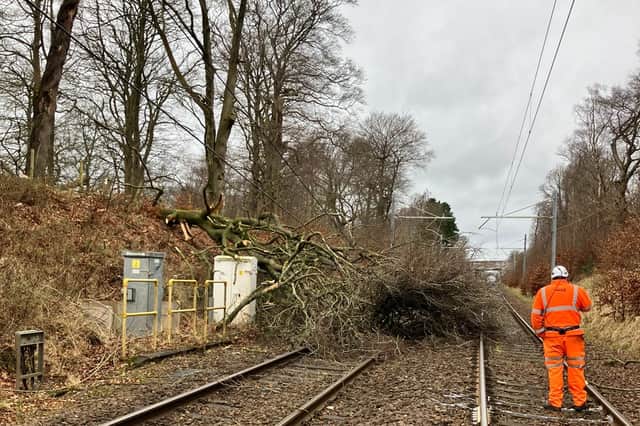 A tree blocking tracks near Livingston South on Sunday