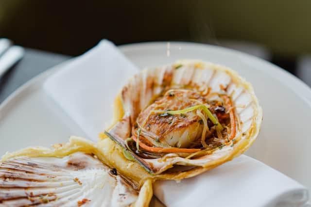 Orkney scallop