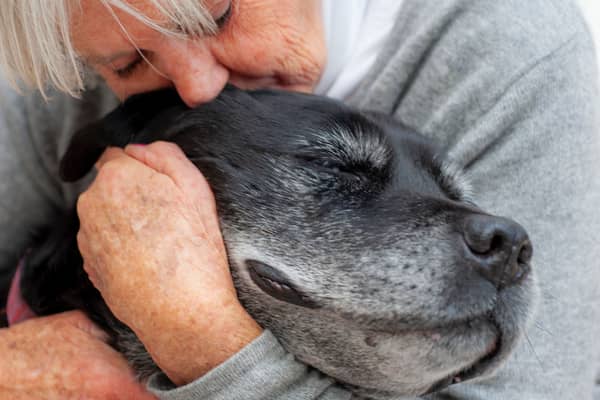 Some dogs are most likely to live to a ripe old age than others.