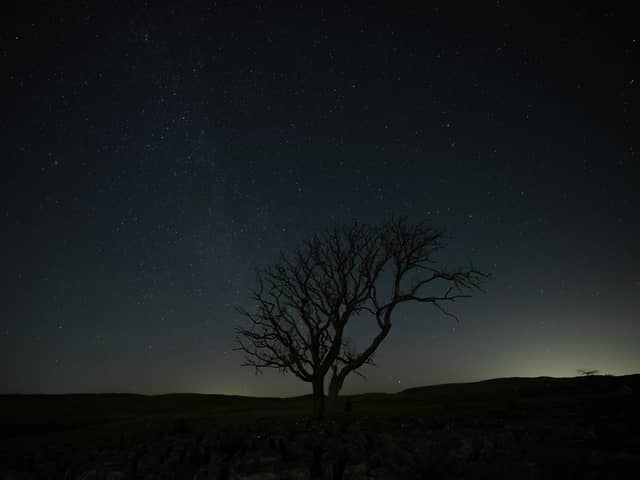 A lone tree stands above a limestone pavement at night in the Yorkshire Dales National Park near Malham.