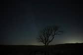 Dark skies will be key to seeing 2025 planetary alignment. 