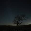 A lone tree stands above a limestone pavement at night in the Yorkshire Dales National Park near Malham.
