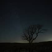 A lone tree stands above a limestone pavement at night in the Yorkshire Dales National Park near Malham.