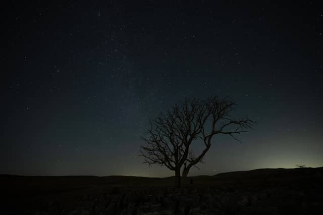A lone tree stands above a limestone pavement at night in the Yorkshire Dales National Park near Malham.