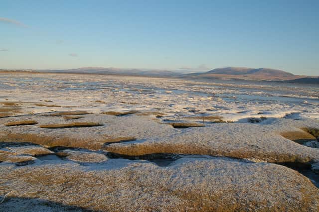 A saltmarsh in winter on the Galloway coast