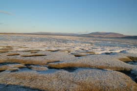 A saltmarsh in winter on the Galloway coast