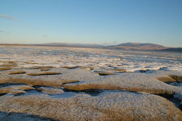 A saltmarsh in winter on the Galloway coast