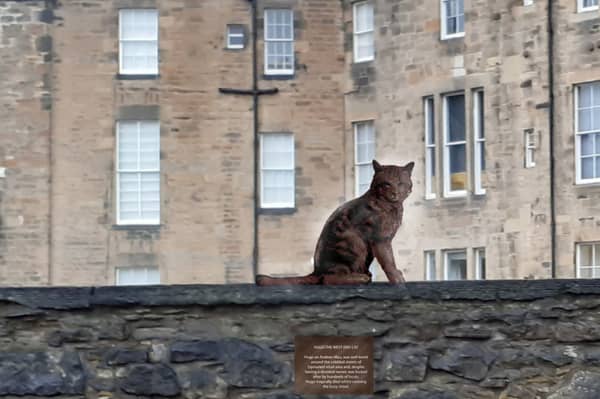 The proposed life-sized statue of Hugo the cat would be put up at a spot where he used to sit and survey his territory 