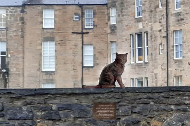 The proposed life-sized statue of Hugo the cat would be put up at a spot where he used to sit and survey his territory