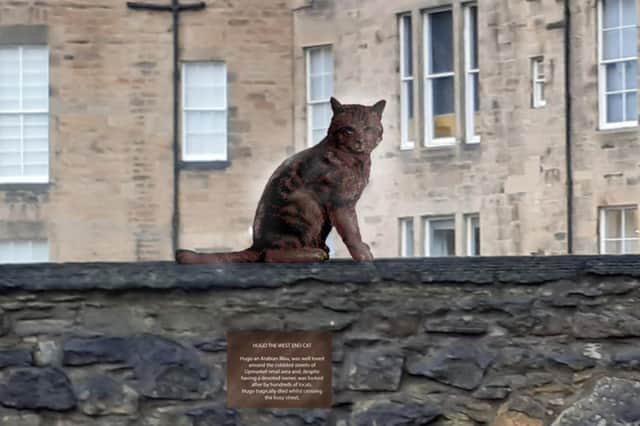 A design for the sculpture of Hugo by Alan Beattie Herriot. The cat will most likely appear lying down in the final piece. PIC: Alan Beattie-Herriot.