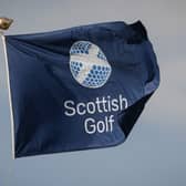 Scottish Golf is reporting a “slight decrease” in membership numbers for the period ending September 2024