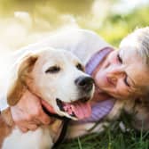 Dogs can be wonderful companions for those of us in our golden years.