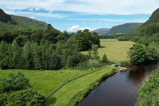 Following the purchase, the Trust has announced several ambitions for the site, from the regeneration of river woodland and temperate rainforest habitat to restoring peatlands and removing invasive species