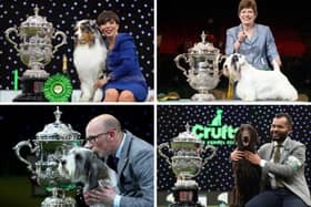 Four of the top dogs at recent Crufts - with their owners and handlers.
