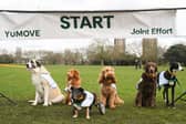 Olympian vet Laura Muir is challenging pet owners to get all dogs out for more exercise.